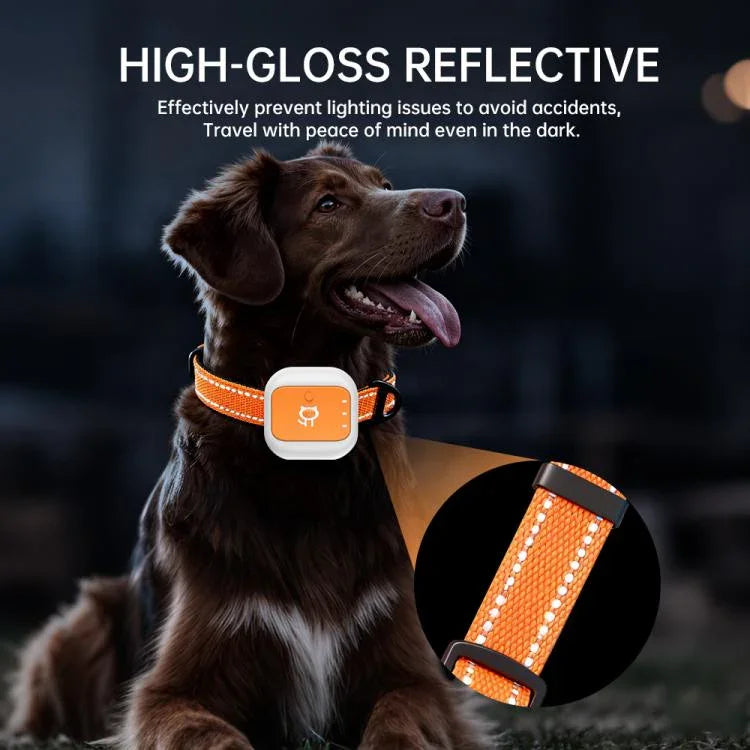 Real-Time GPS/WIFI Location SOS Distress Electronic Fence Alert Pet Collar