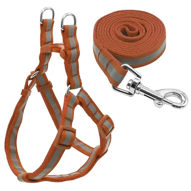Small Medium Dogs Nylon Reflective Dog Leash Lead Set, S