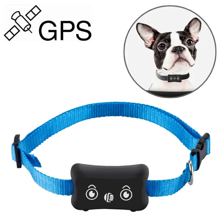 TK200 IP67 waterproof GPS tracker collar for real-time tracking of pets and goods.