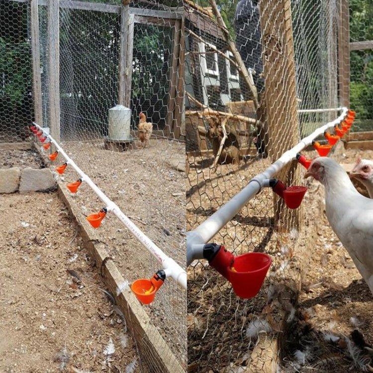 Adjustable Vreeding Equipment Export Type Drinking Bowl Poultry Drinker - Trustpick