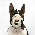 Fluorescent Dog Mouth Cover Pet Masks Anti - Bite And Bark Stopper Pet Supplies - Trustpick