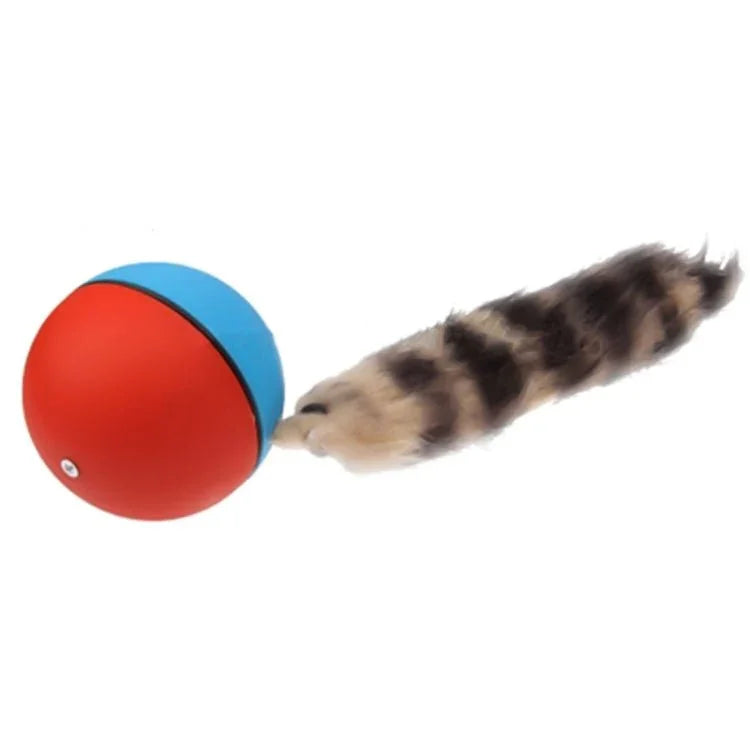 Motorized Rolling Chaser Ball Toy for Dog / Cat / Pet / Kid, Random Color Delivery - Trustpick